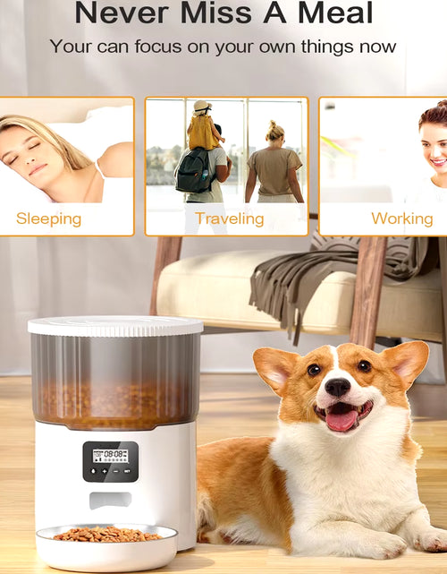 Load image into Gallery viewer, 4L Pet Feeder Tuya WIFI Automatic Dog Food Dispenser Smart Cat Feeder 2L Cat Automatic Drinking Fountain Dog Water Feeder
